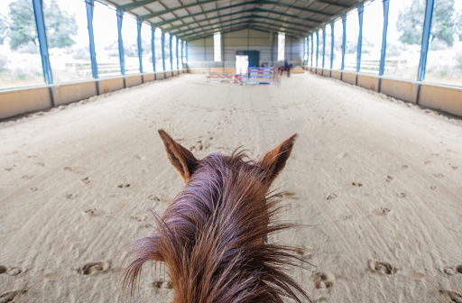 Horse training at indoor obstacles course. Scene viewed from horseback