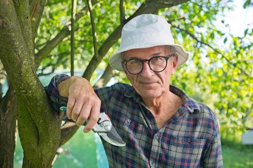 Smiling senior man with pruning shears leaning on tree and smiling at camera.