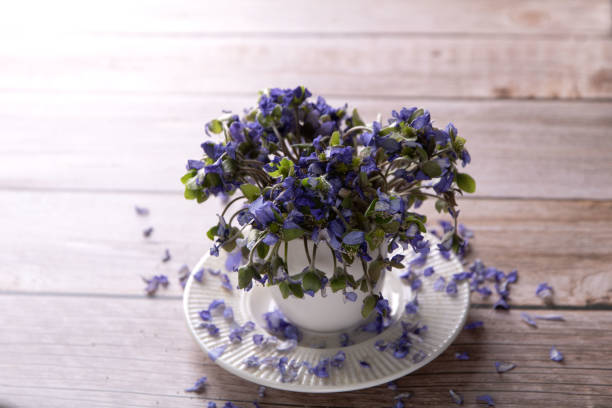 istock photo wilted flowers in a coffee cup 1483055504
