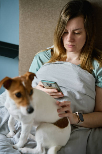 istock Woman with dog chilling on bed, use smartphone 1483056355