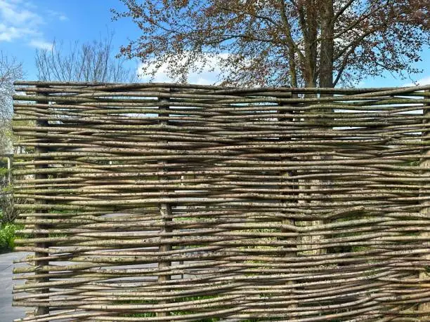 Photo of Willow wicker wall in the garden