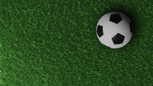 istock 3D Soccer ball on green grass 1483057717