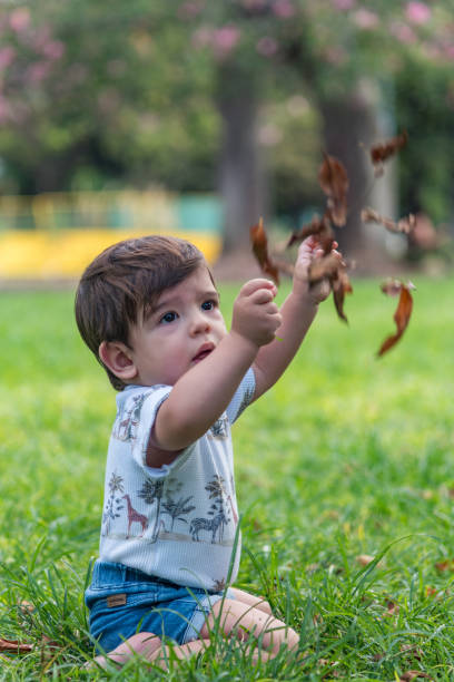 istock Little baby boy playing with leaves while sitting on the grass in a park. 1483058869