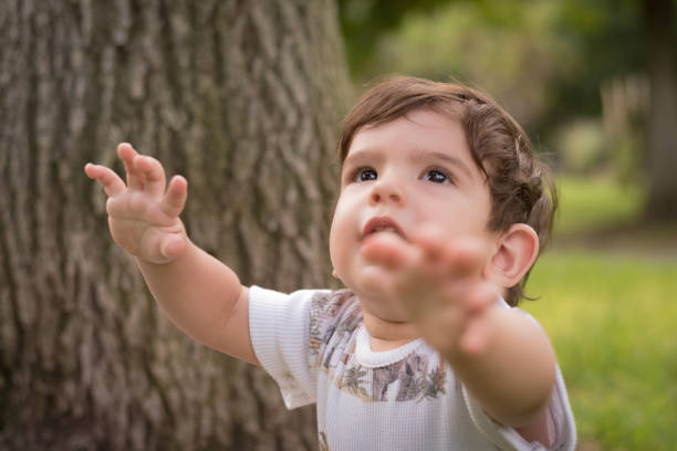 istock Baby boy asking to be picked up outdoors in a park. 1483059018