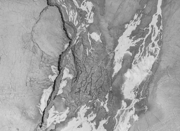 istock The structure of cracked wet earth at the bottom of the lake, creating irregular patterns, structure, background. Amazing shapes created by nature at the bottom of a lake where there is no water 1483069351