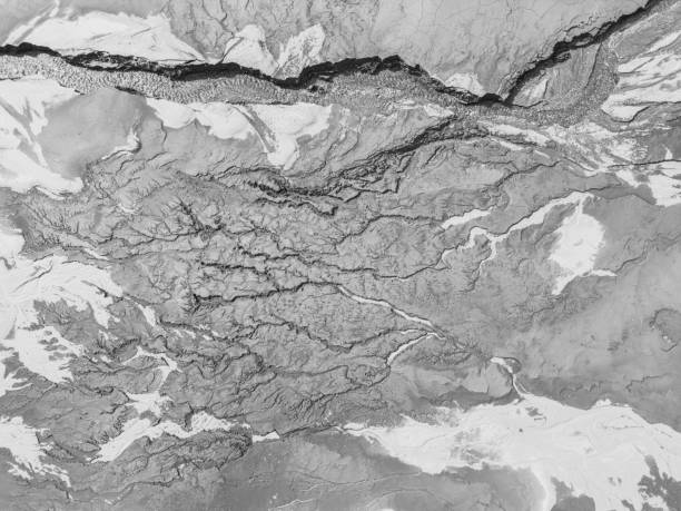 istock The structure of cracked wet earth at the bottom of the lake, creating irregular patterns, structure, background. Amazing shapes created by nature at the bottom of a lake where there is no water 1483069533