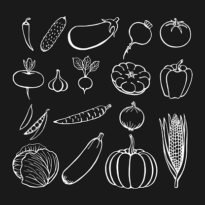 Hand drawn vegetables collection, isolated elements. Vector illustration.