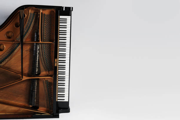 istock Luxury grand piano with open lid 1483077434