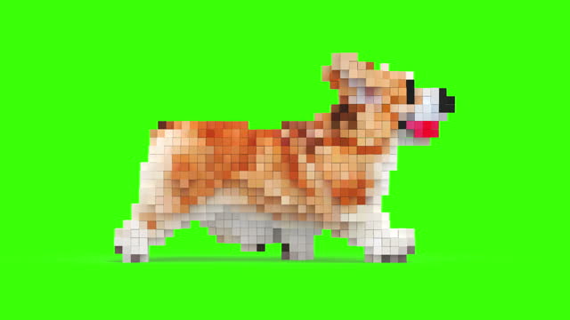 Corgi Puppy Runs Funny on a Green Background in 3D Pixel Voxel Style.