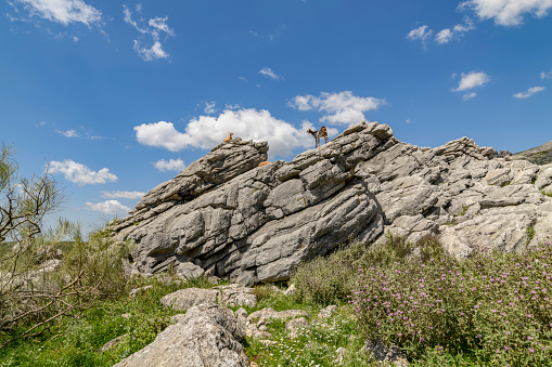 View over the Terra Alta plateau in the province of Tarragona in Catalonia, Spain. The rocky cliffs on the right belong to a rock formation called the Roques Benet.