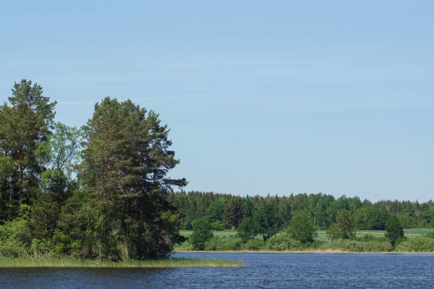 istock Scenic view of lake against clear sky 1483082782