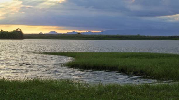 istock sunset on the meadow by the lake 1483084814