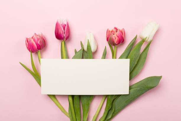 istock Bright tulips on color background, top view. Greeting card mockup 1483085922