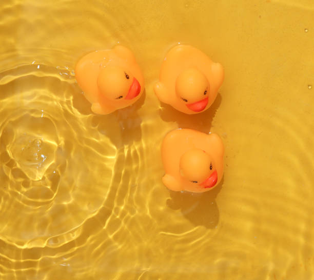 istock Rubber ducklings in yellow water with shadows. Top view 1483086044