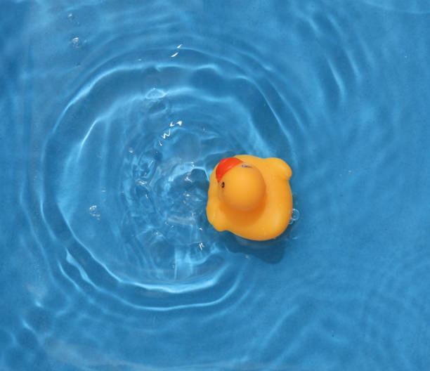 istock Rubber duckling in blue water with shadows. Top view 1483086047