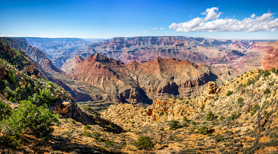 Panorama of Grand Canyon from Navajo Point viewpoint in a clear day. Arizona. USA