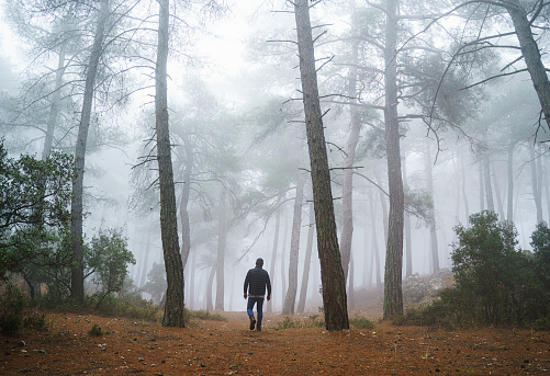 Man walking at foggy forest in the morning