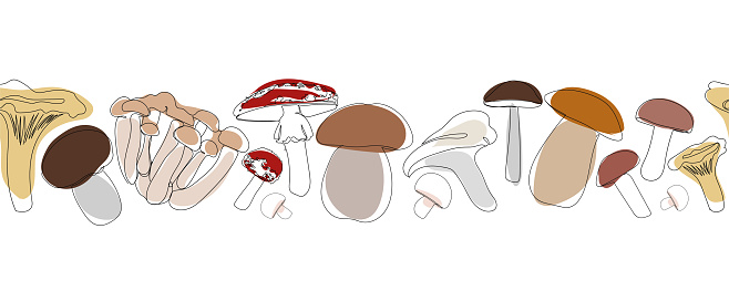 Seamless border different types of mushrooms in single continuous line drawing style. Sketch hand drawn illustration. Mushroom vector set in outline with colored elements.