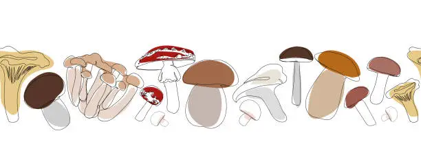 Vector illustration of Seamless border different types of mushrooms in single continuous line drawing style. Sketch hand drawn illustration. Mushroom vector set in outline with colored elements.