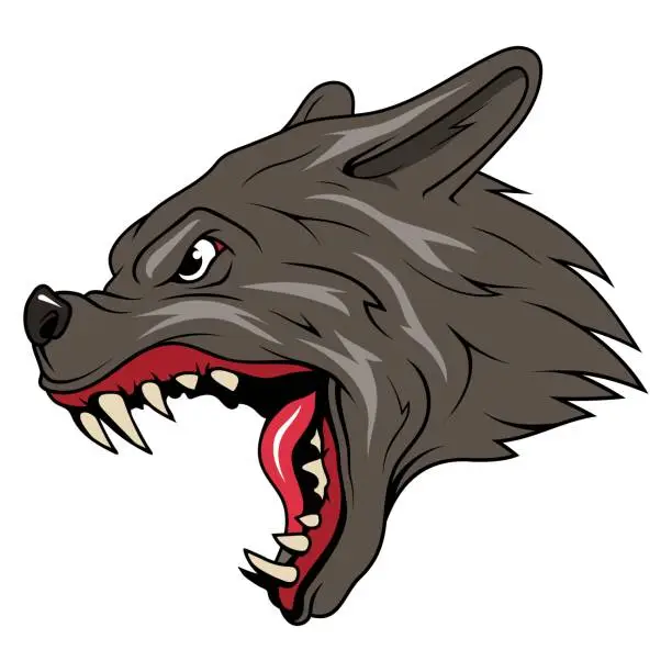Vector illustration of Wolf. Vector illustration of an angry animal. Dog for T-shirt design