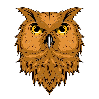 Owl. Vector illustration of a bird. Nocturnal birds of prey with hawk-like beak