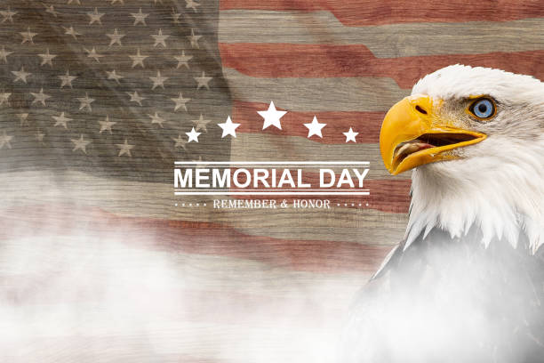 Memorial Day, which falls on the last Monday of May. Shown here with the American flag in the background and the bald eagle and fog. stock photo