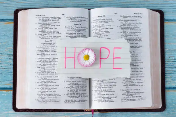 Hope handwritten word on paper with a flower on open holy bible book. Top view. Christian biblical concept.