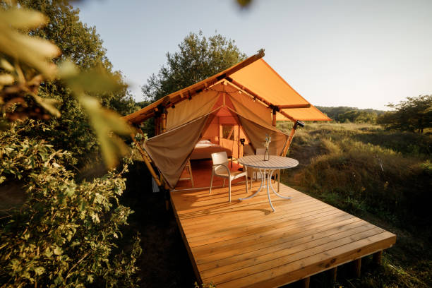 istock Cozy open glamping tent with light inside during sunset. Luxury camping tent for outdoor summer holiday and vacation. Lifestyle concept 1483096969