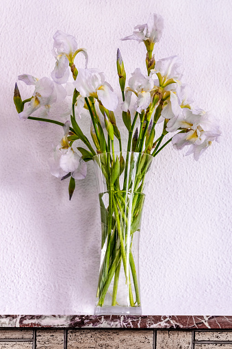 vase with white irises