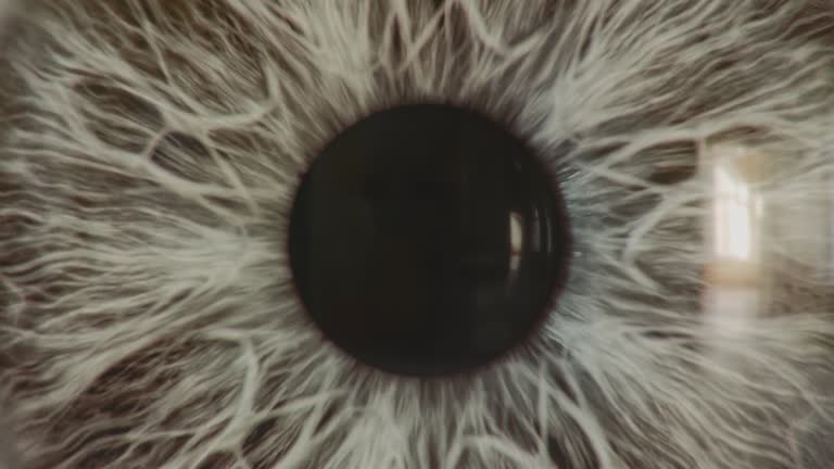 Human eye zoom in. Detailed iris and pupil. Extreme macro. Observation, big brother, surveillance concept.  Video transition.