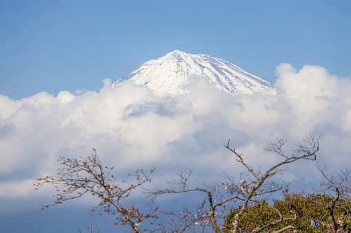 The Cotopaxi is the third highest active volcano in the world. It raises 19388 feet (5911 m) above the sea level and is located in Ecuador near Quito. Its peak is a popular destination for climbers.