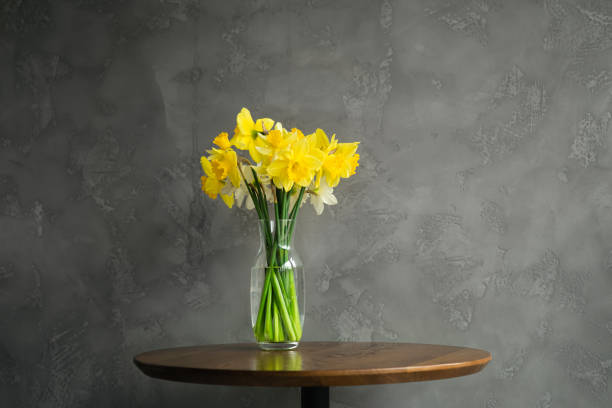 istock A Glass Vase with Yellow Daffodils Against a Gray Background, copy space. 1483100924