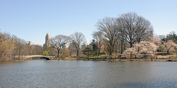 Spring landscape with Bow Bridge (1862) across Central Park Lake. New York City, United States