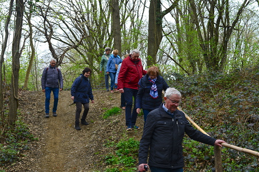 Schaffen, Vlaams-Brabant, Belgium - April, 17, 2023: 3 senior men and 4 senior white women hikers descending a hill in the woods
