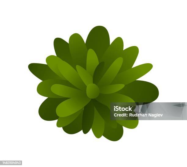 Top View Basing Landscape Element Top View Stock Illustration - Download Image Now ...