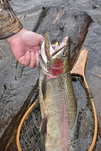 istock Trout Opener 2022 1483104105