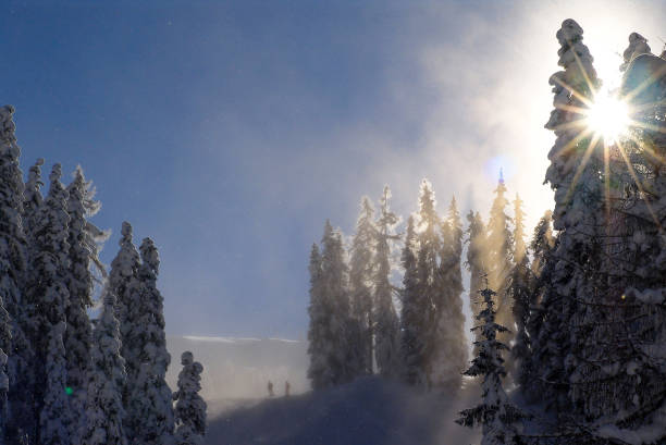 Skipiste durch den Wald bei Gegenlicht am Hochkeil
