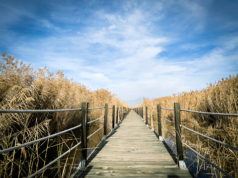 Boardwalk at reeds, Sultan Sazligi.