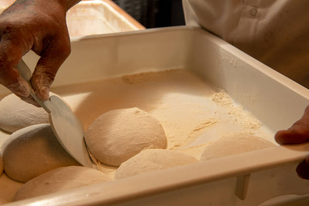 istock Pizza chef scraping dough from a bin full of dough balls. 1483113228