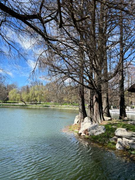istock Beautiful park in Craiova 1483113397