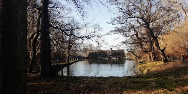 istock a small lake is seen in a wooded area, surrounded by trees 1483113739