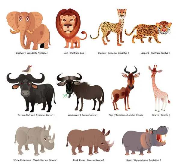 Vector illustration of Kenya Animals