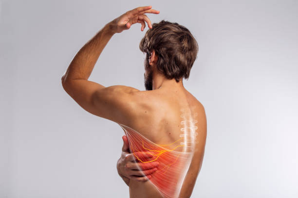 istock Back pain, male body spinal nerve anatomy, torso back view 1483118848