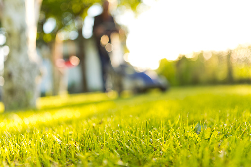 Surface level view of green grass in garden and senior man using lawn mower.