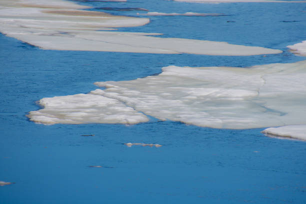 Melting ice in the spring on a lake in the Canadian forest in Quebec