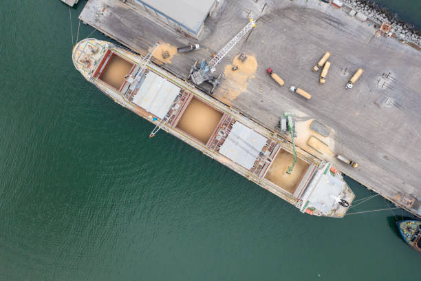 Loading grain into sea cargo vessel in commercial port. Loading grain into sea cargo vessel in commercial port from trucks. bulk carrier stock pictures, royalty-free photos & images