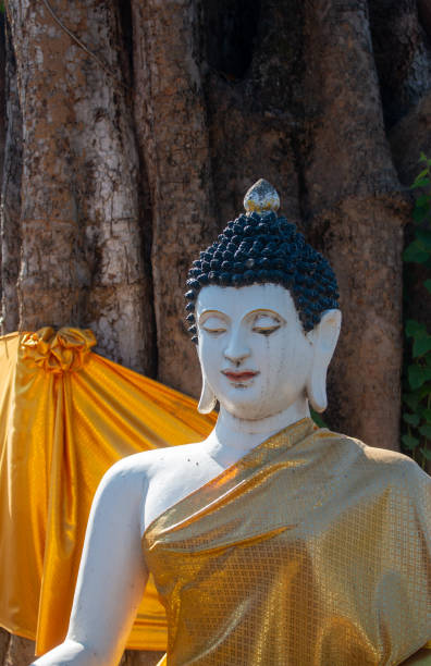 Cтоковое фото Статуя Будды лепнина в Ват Па Даед в Муанг Чианг Май, Таиланд