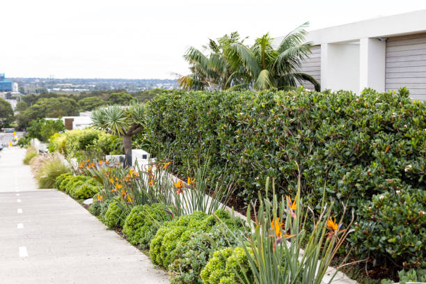 Street with beautiful front gardens, background with copy space, full frame horizontal composition