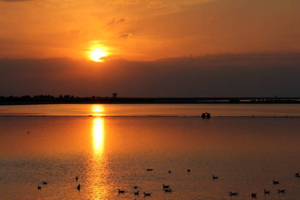 istock Sunset on the calm water of tha saline 1483123775