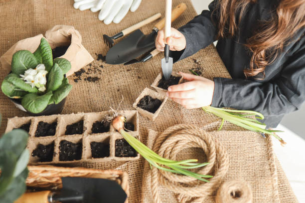 istock Girl doing gardening at home 1483123906